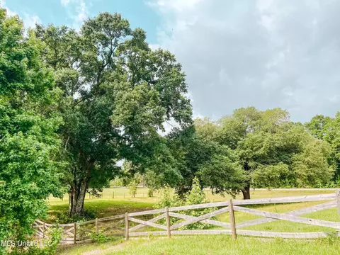 1230 Walt Tanner Rd, Lucedale, MS 39452 photo 28