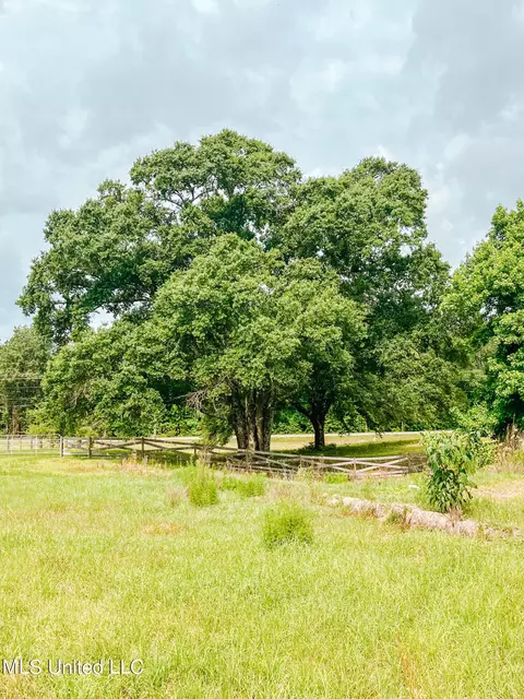 1230 Walt Tanner Rd, Lucedale, MS 39452 photo 27