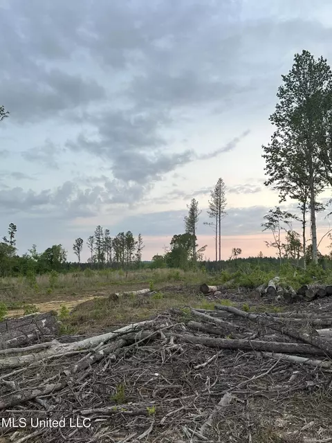 0 Pleasant Ridge Rd, Lexington, MS 39095