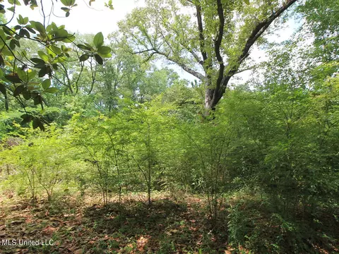2123 Union Church Rd, Lucedale, MS 39452