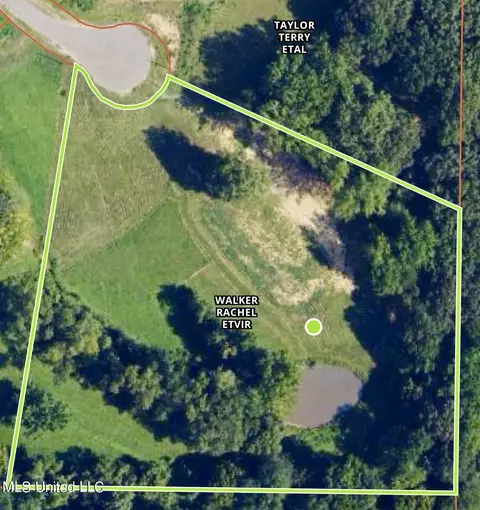 3391 Sherri Cv, Hernando, MS 38632 photo 1