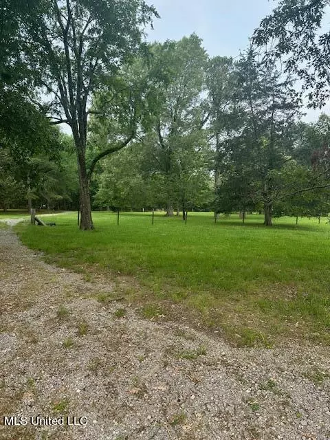 166 Perry Williams Road Rd, Madison, MS 39110 photo 6