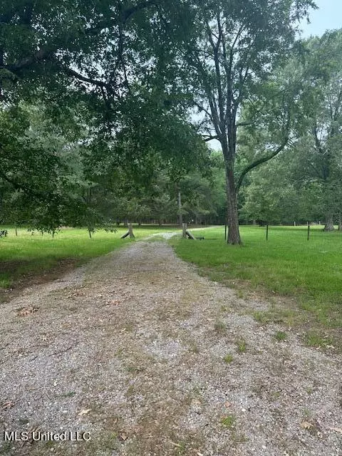 166 Perry Williams Road Rd, Madison, MS 39110 photo 5