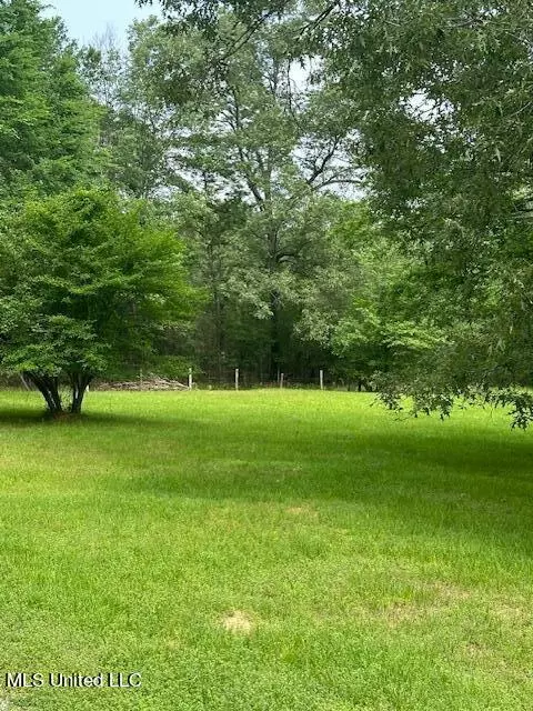 166 Perry Williams Road Rd, Madison, MS 39110 photo 24