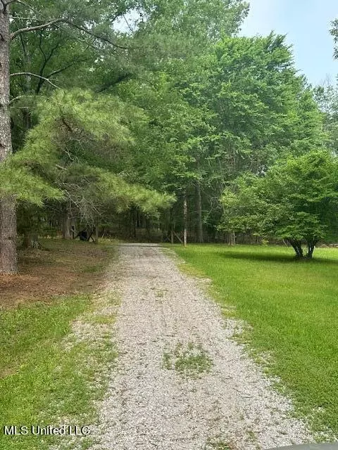 166 Perry Williams Road Rd, Madison, MS 39110 photo 23