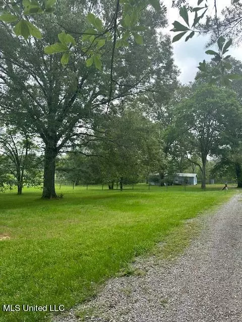 166 Perry Williams Road Rd, Madison, MS 39110 photo 3