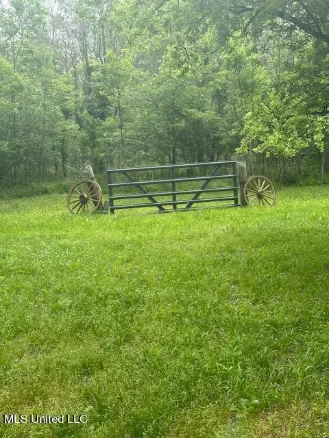 166 Perry Williams Road Rd, Madison, MS 39110 photo 7