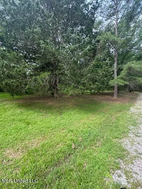 166 Perry Williams Road Rd, Madison, MS 39110 photo 25