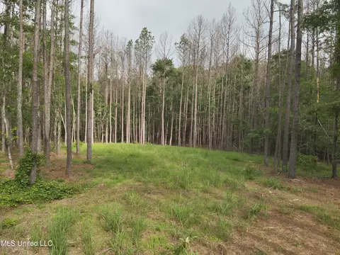303 Pearl River Church Road Rd, Madison, MS 39110