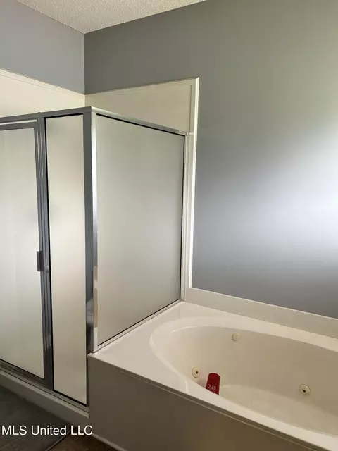 Bath - 3625 Jaybird Rd, Hernando, MS 38632 photo 2 of 5