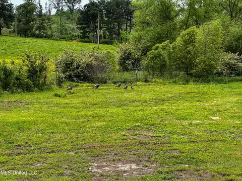 1477 Comans Road Rd, Carthage, MS 39051 photo 6