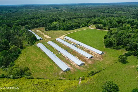 1477 Comans Road Rd, Carthage, MS 39051 photo 18