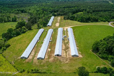 1477 Comans Road Rd, Carthage, MS 39051 photo 15