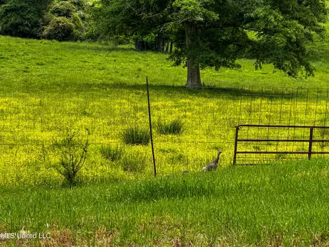 1477 Comans Road Rd, Carthage, MS 39051 photo 50
