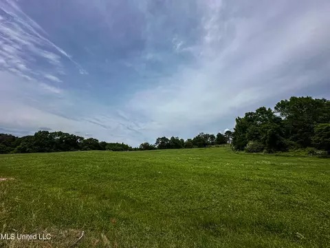 1477 Comans Road Rd, Carthage, MS 39051 photo 58