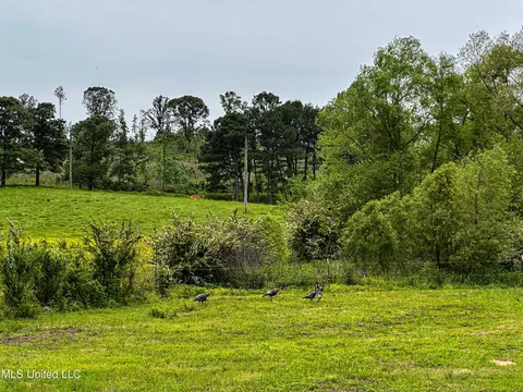 1477 Comans Road Rd, Carthage, MS 39051 photo 52