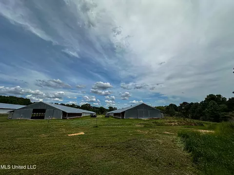 1477 Comans Road Rd, Carthage, MS 39051 photo 47