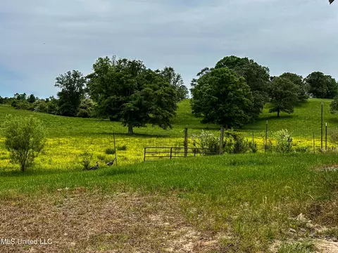 1477 Comans Road Rd, Carthage, MS 39051 photo 49