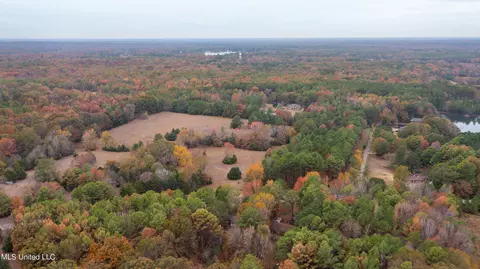 Robinson Springs Road, Madison, MS 39110