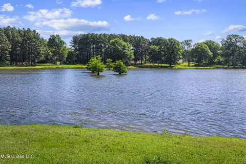 342 Mannsdale Rd, Madison, MS 39110 photo 36
