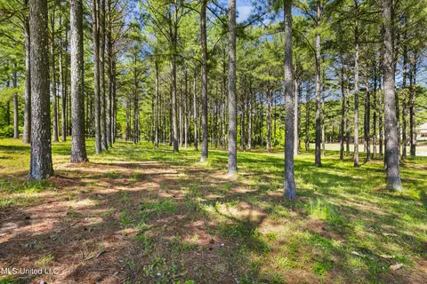 342 Mannsdale Rd, Madison, MS 39110 photo 8