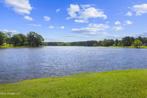 342 Mannsdale Rd, Madison, MS 39110 photo 3