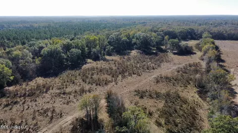 Canton Parkway, Canton, MS 39046 photo 6