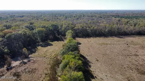 Canton Parkway, Canton, MS 39046 photo 8