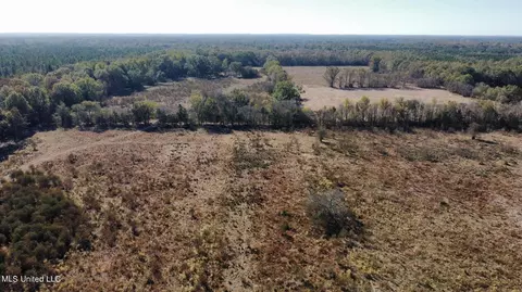 Canton Parkway, Canton, MS 39046 photo 3