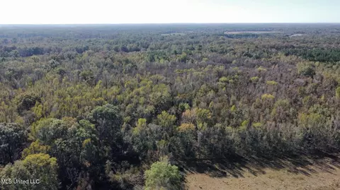 Canton Parkway, Canton, MS 39046 photo 9