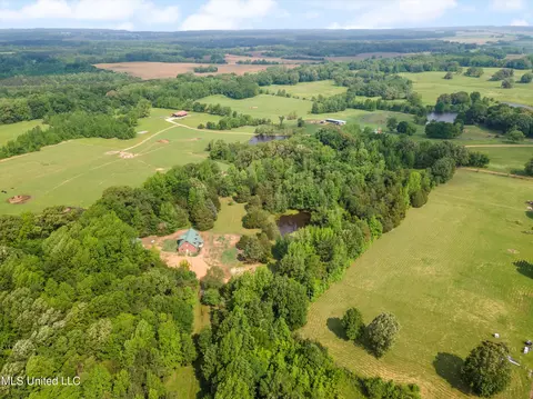 View/Area - 1831 Hammond Hill Rd, Como, MS 38619 photo 3 of 3