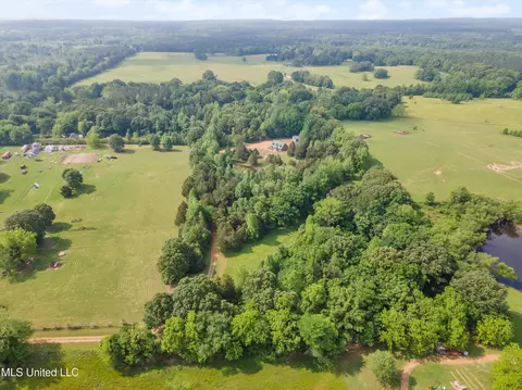 View/Area - 1831 Hammond Hill Rd, Como, MS 38619 photo 2 of 3