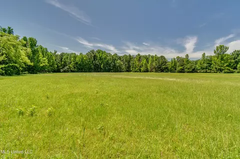 Stout Road, Canton, MS 39046 photo 3