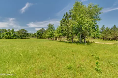 Stout Road, Canton, MS 39046 photo 2