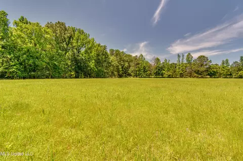 Stout Road, Canton, MS 39046 photo 6