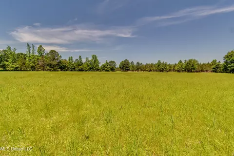 Stout Road, Canton, MS 39046 photo 7