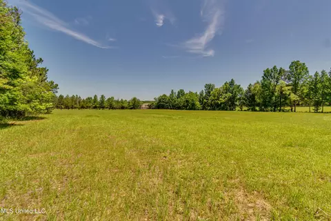Stout Road, Canton, MS 39046 photo 8