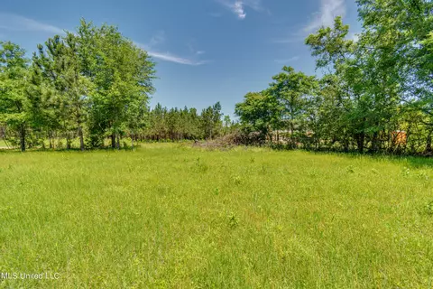 Stout Road, Canton, MS 39046 photo 4