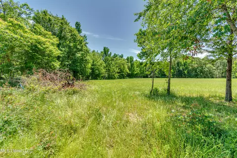 Stout Road, Canton, MS 39046 photo 9