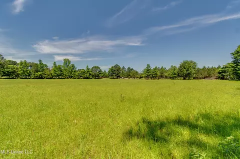 Stout Road, Canton, MS 39046 photo 5