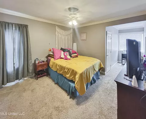 245 Cannon Ridge Dr, Brandon, MS 39042 photo 45