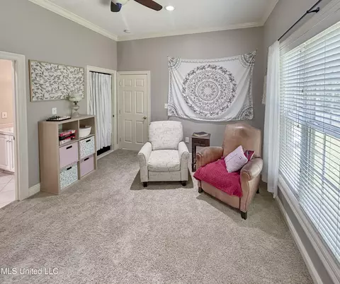 245 Cannon Ridge Dr, Brandon, MS 39042 photo 42