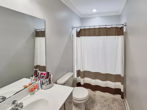 245 Cannon Ridge Dr, Brandon, MS 39042 photo 51