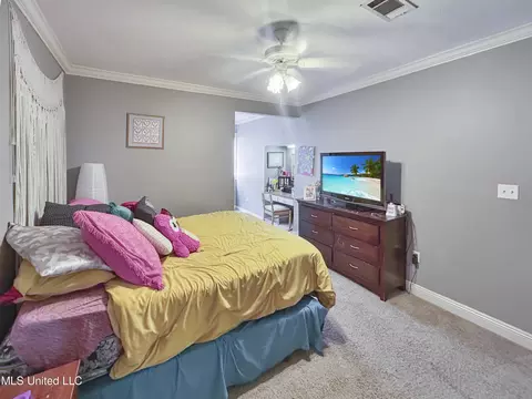245 Cannon Ridge Dr, Brandon, MS 39042 photo 46