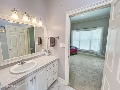 245 Cannon Ridge Dr, Brandon, MS 39042 photo 38