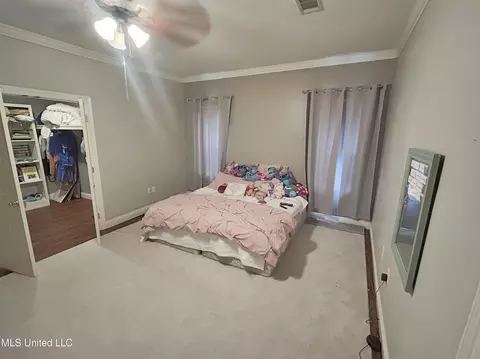 245 Cannon Ridge Dr, Brandon, MS 39042 photo 52