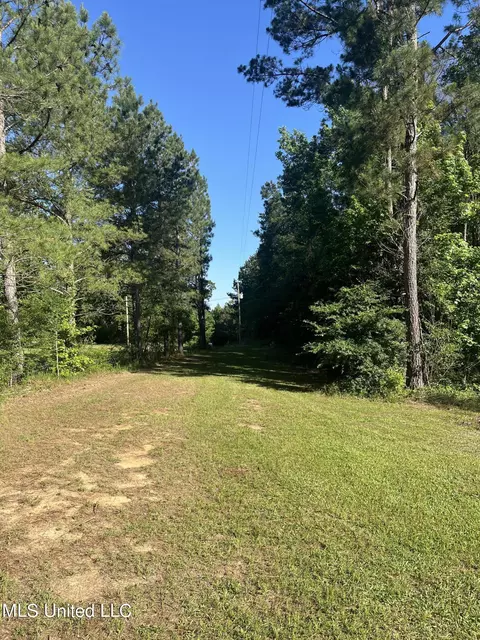 Other - 4020 Harmony Community Rd, Carthage, MS 39051 photo 4 of 6
