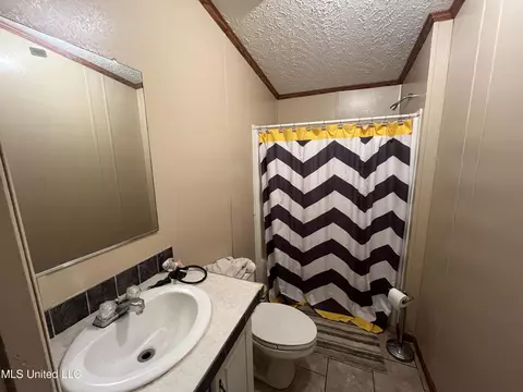 Bath - 4020 Harmony Community Rd, Carthage, MS 39051 photo 2 of 4