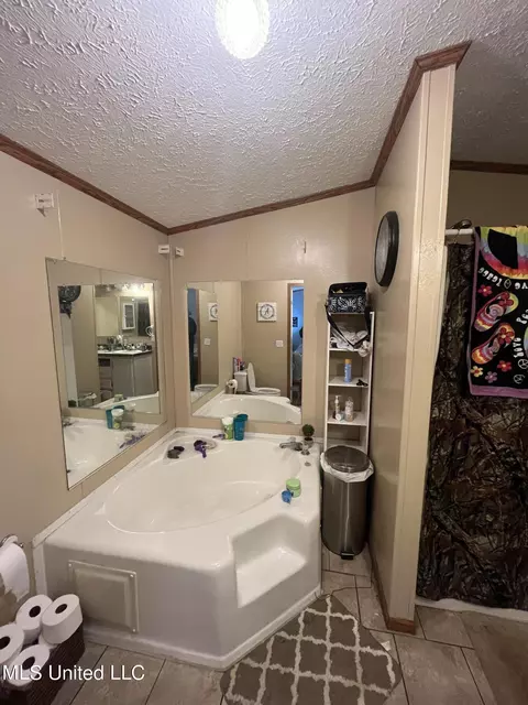 Bath - 4020 Harmony Community Rd, Carthage, MS 39051 photo 3 of 4