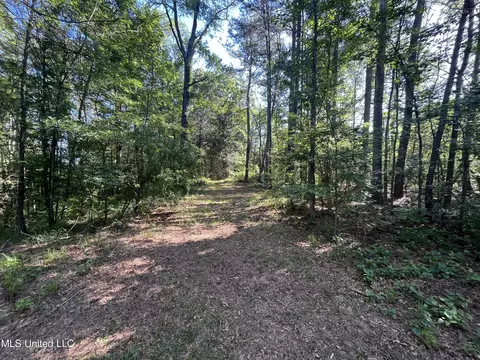 Other - 4020 Harmony Community Rd, Carthage, MS 39051 photo 3 of 6
